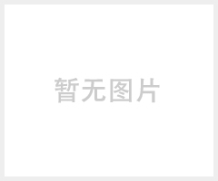 耐高温玻璃视筒